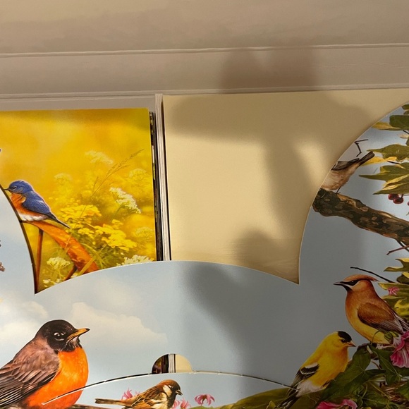 Greeting Card Assortment-Wings & Wishes with birds by Greg Giordano set of 20 - Picture 3 of 5